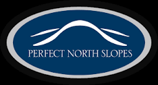 perfect north logo